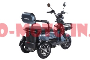 Електротрицикл Forte Family-WN1072